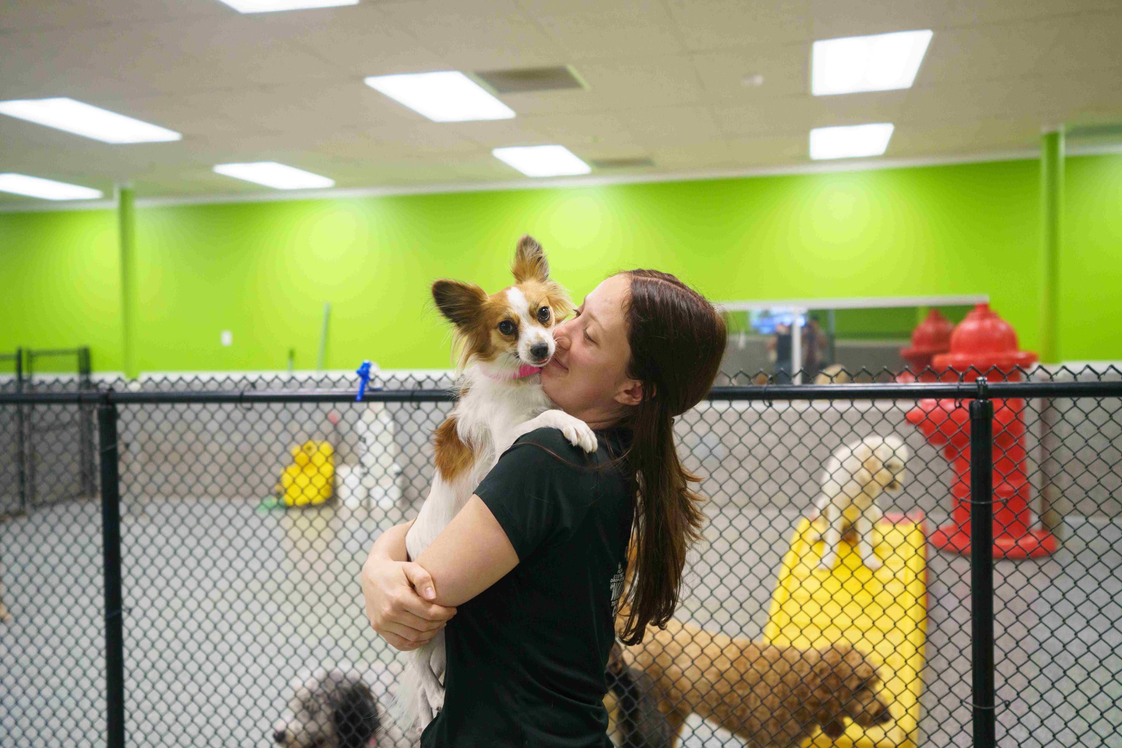 A Paw Commons staff member affectionately hugging a small dog inside the training camp play yard